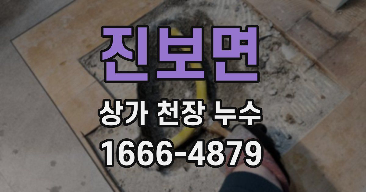 진보면 상가 천장 누수