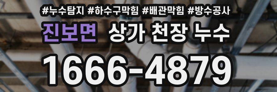 진보면 상가 천장 누수