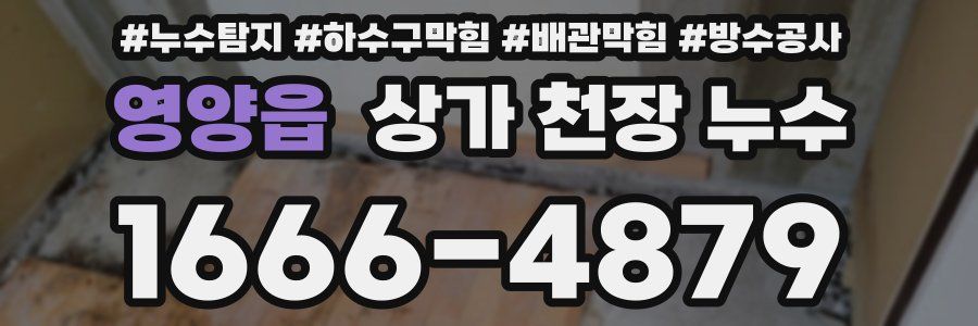 영양읍 상가 천장 누수
