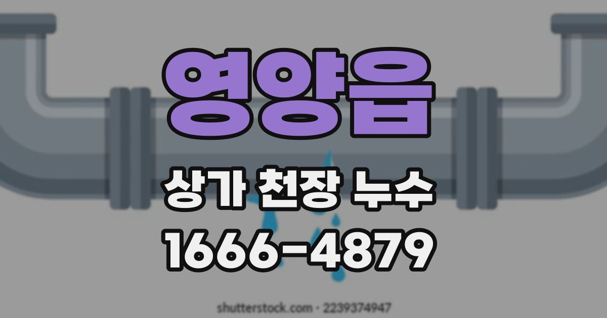영양읍 상가 천장 누수