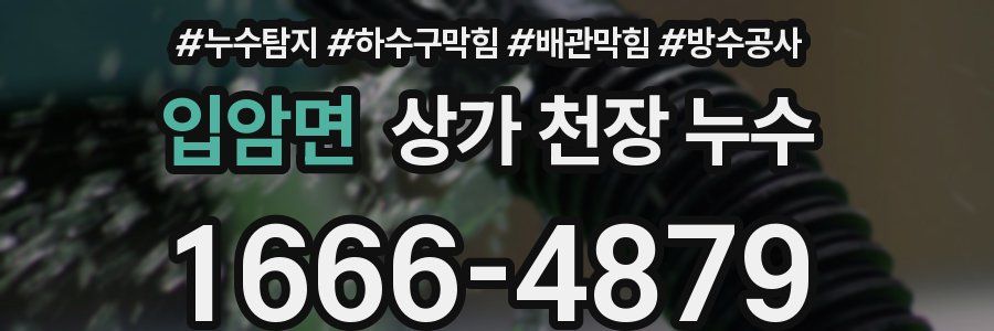 입암면 상가 천장 누수