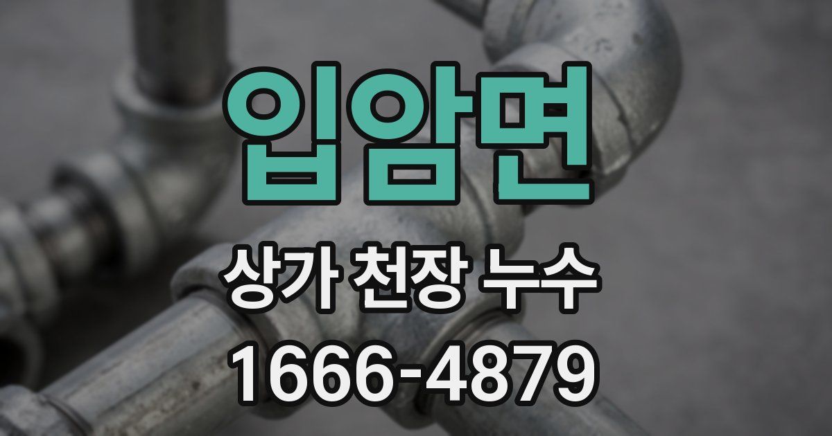 입암면 상가 천장 누수