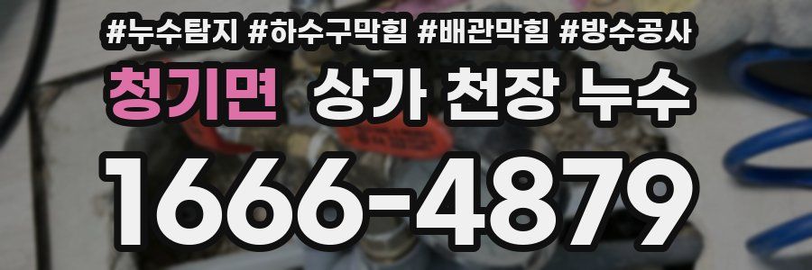 청기면 상가 천장 누수