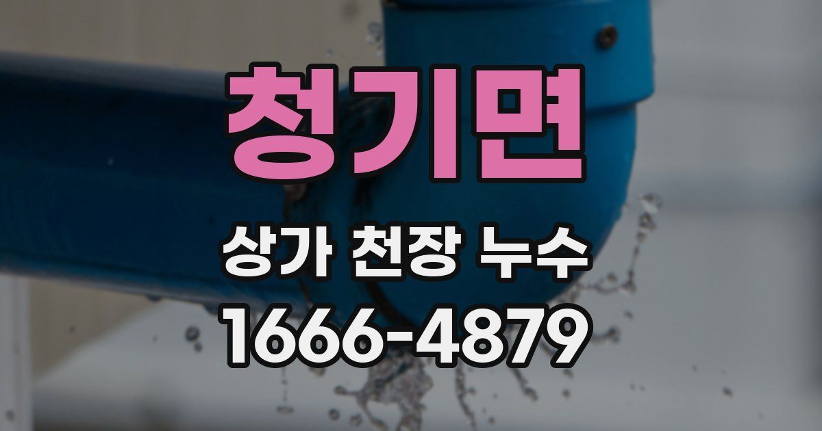 청기면 상가 천장 누수