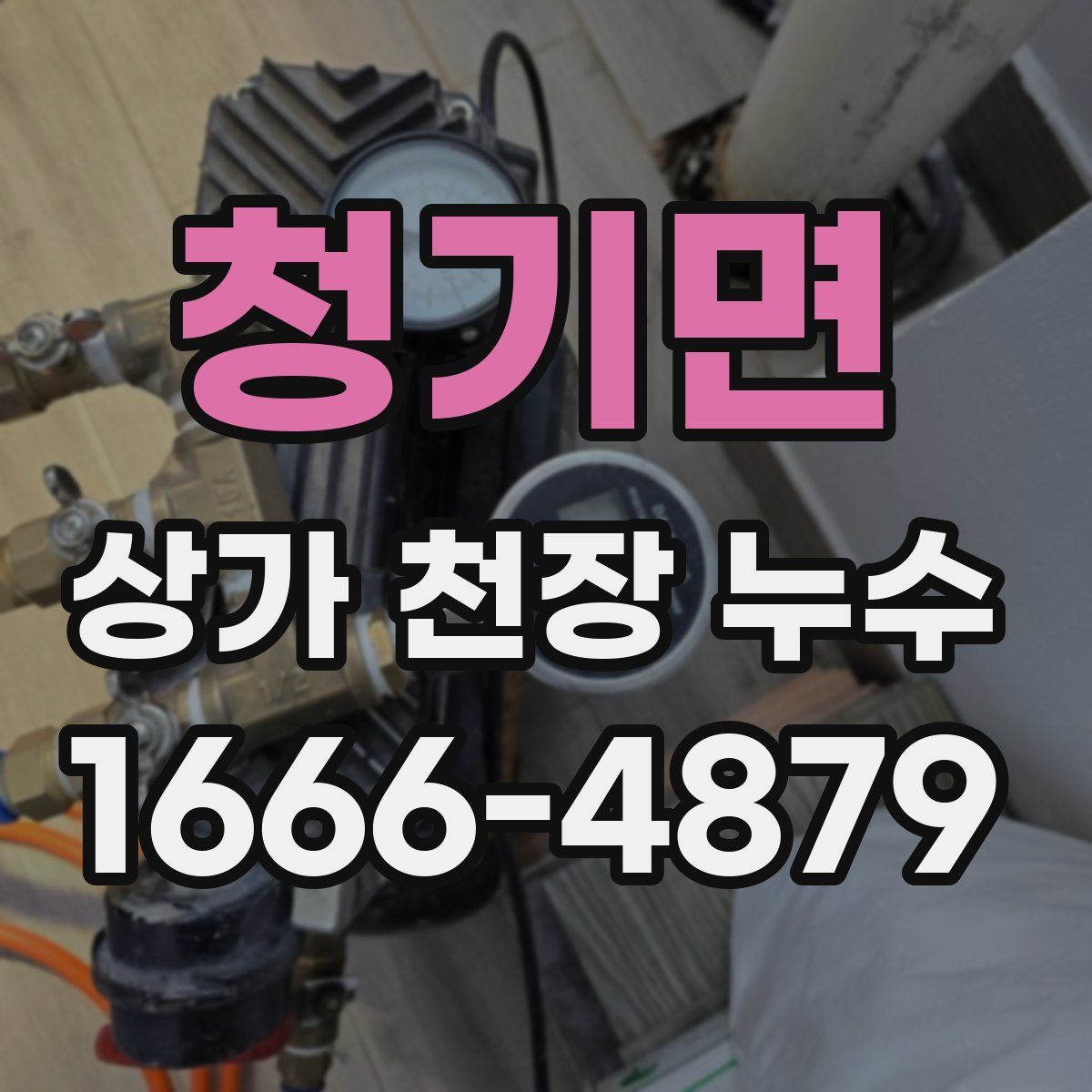 청기면 상가 천장 누수