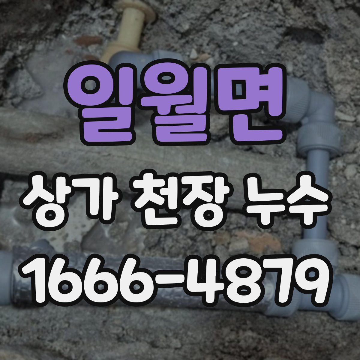 일월면 상가 천장 누수
