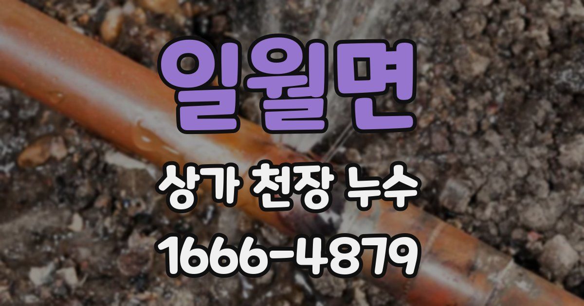 일월면 상가 천장 누수