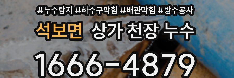 석보면 상가 천장 누수