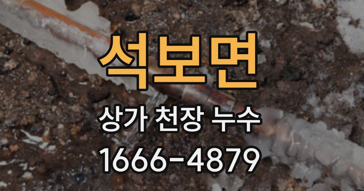 석보면 상가 천장 누수