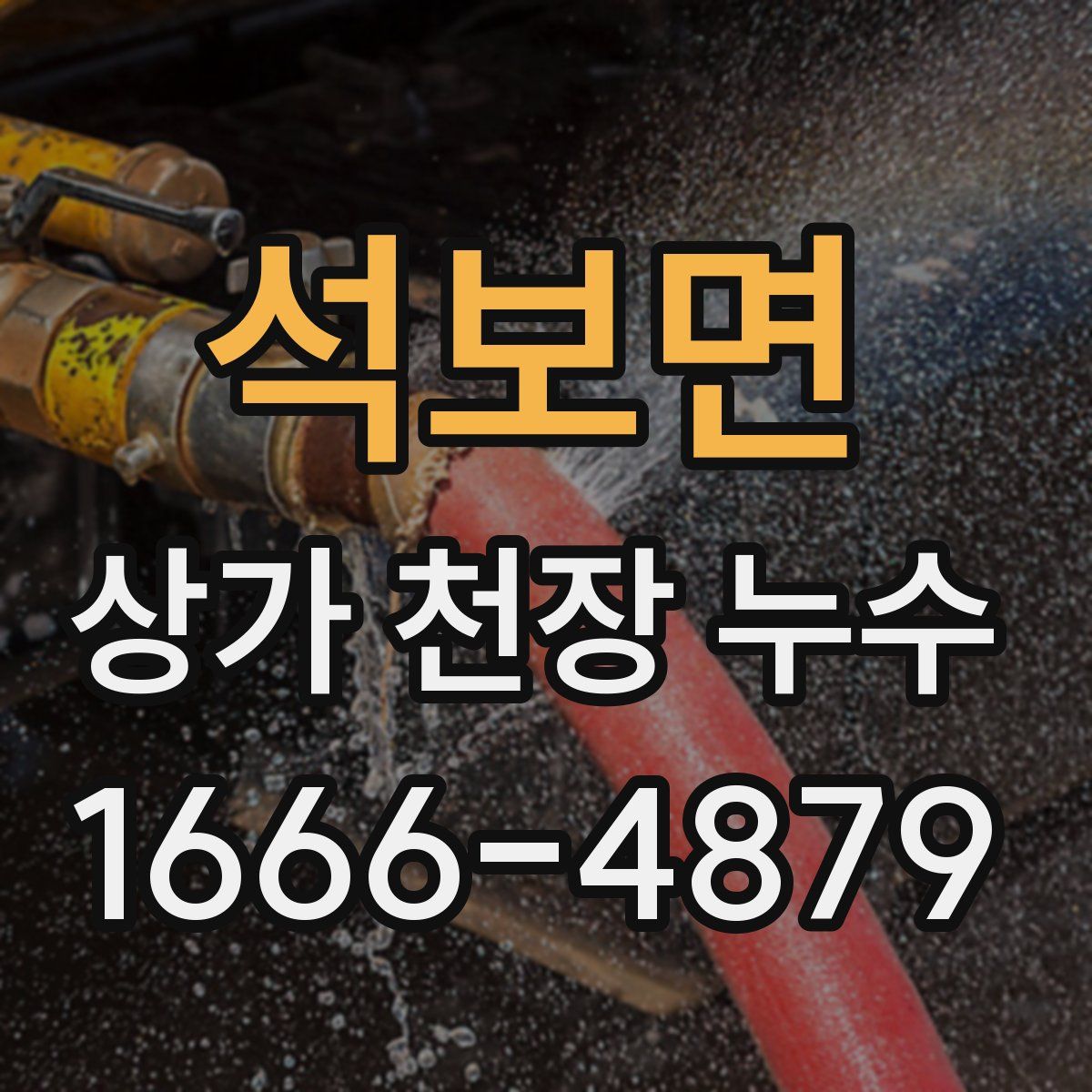 석보면 상가 천장 누수