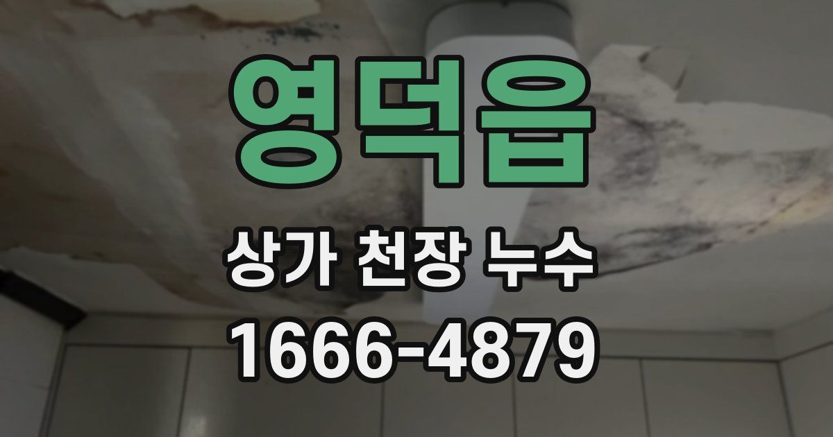 영덕읍 상가 천장 누수