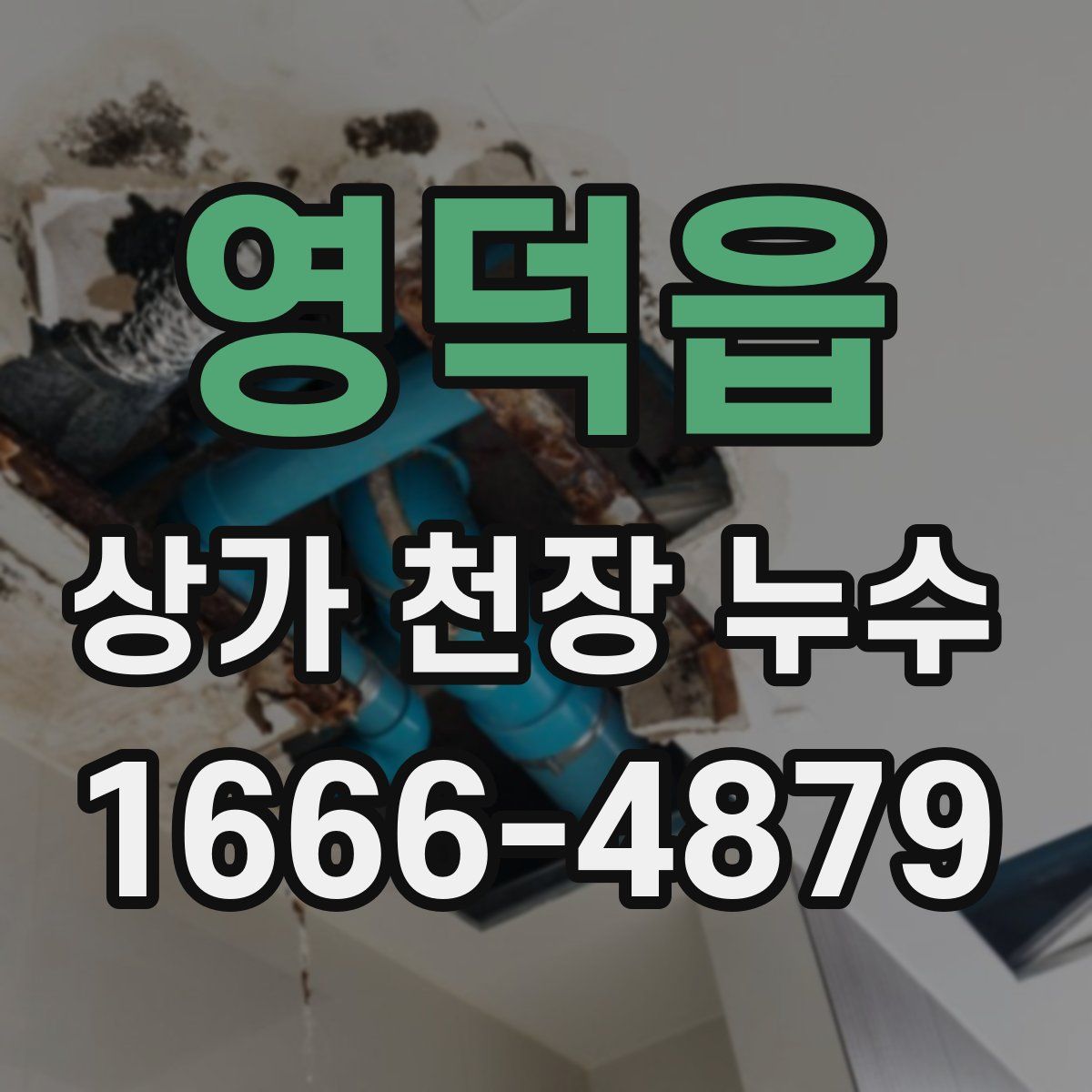 영덕읍 상가 천장 누수