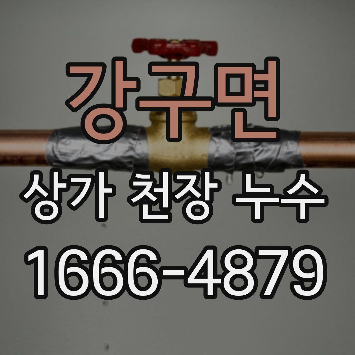 강구면 상가 천장 누수