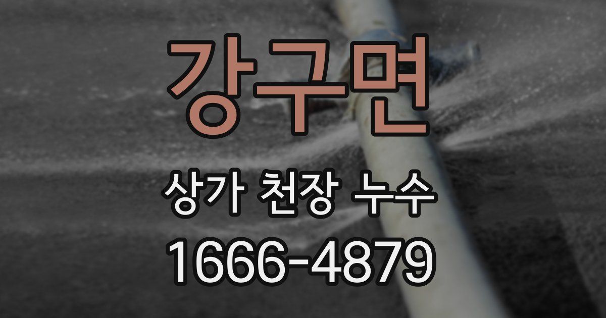 강구면 상가 천장 누수