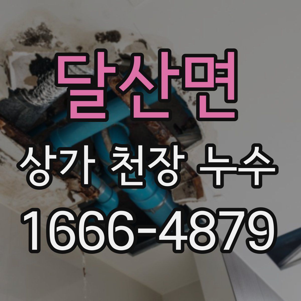 달산면 상가 천장 누수