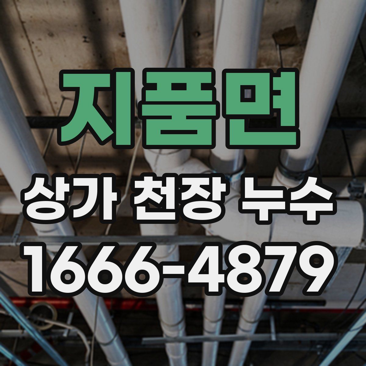 지품면 상가 천장 누수