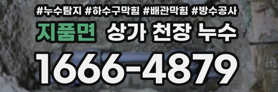 지품면 상가 천장 누수