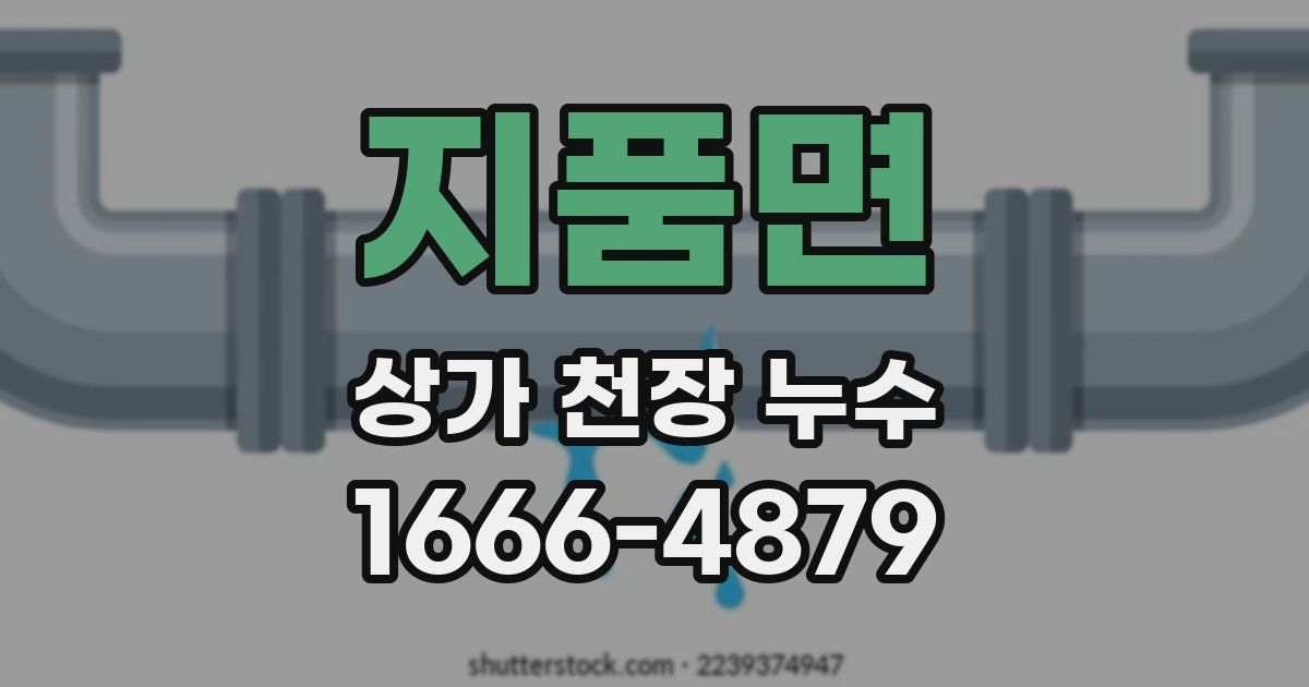 지품면 상가 천장 누수