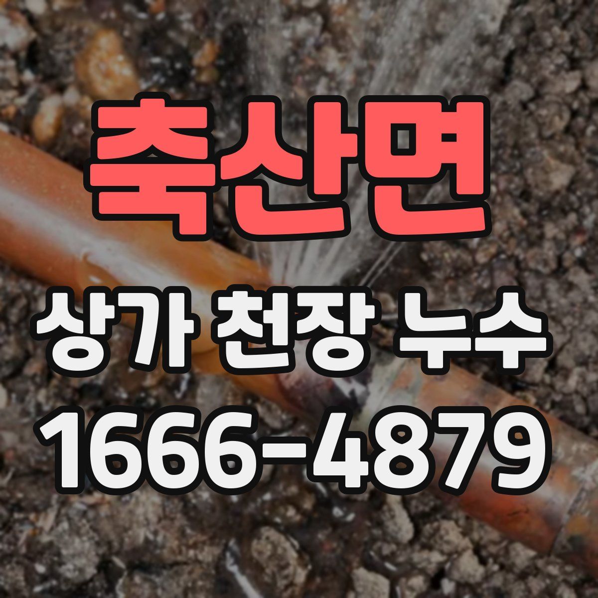 축산면 상가 천장 누수