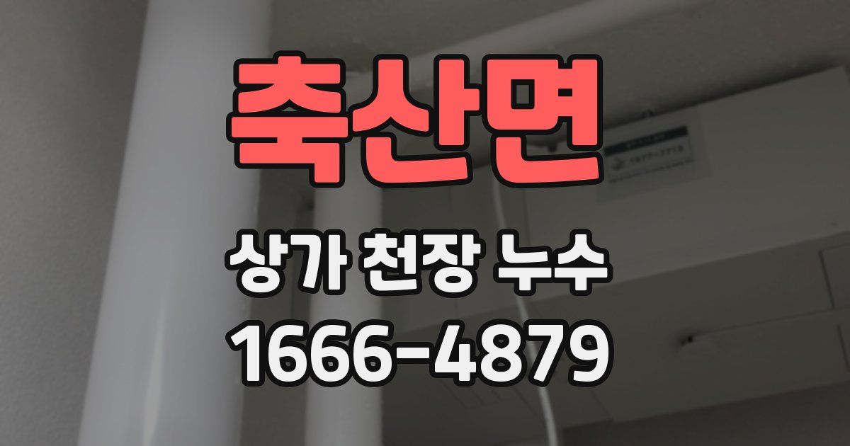축산면 상가 천장 누수