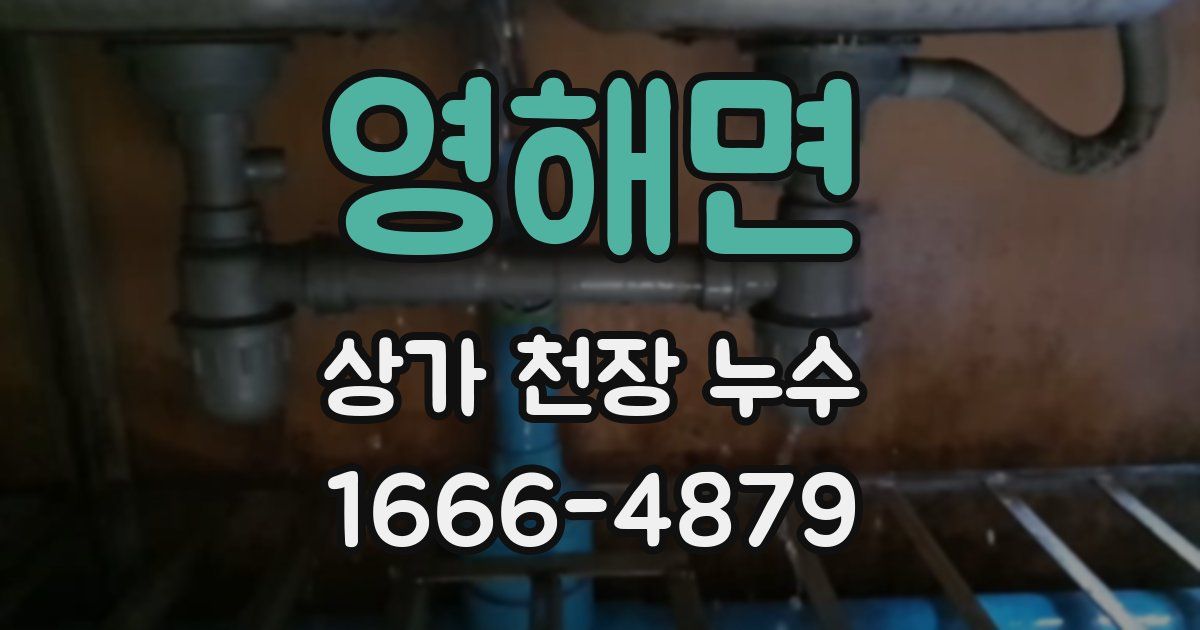 영해면 상가 천장 누수