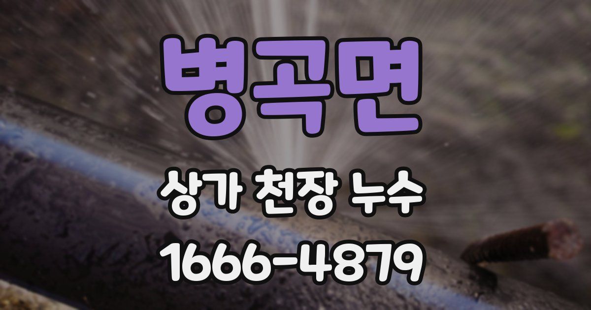 병곡면 상가 천장 누수