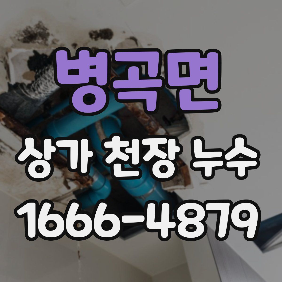 병곡면 상가 천장 누수