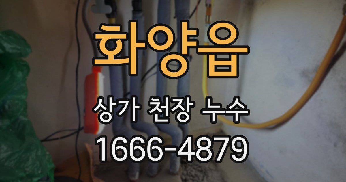 화양읍 상가 천장 누수