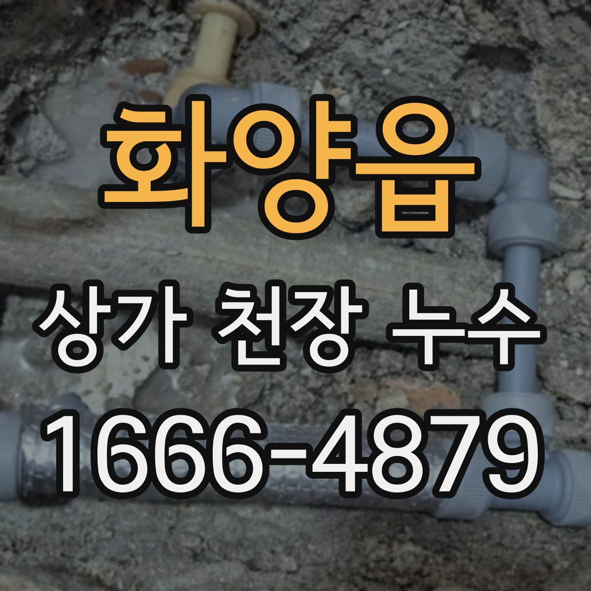 화양읍 상가 천장 누수