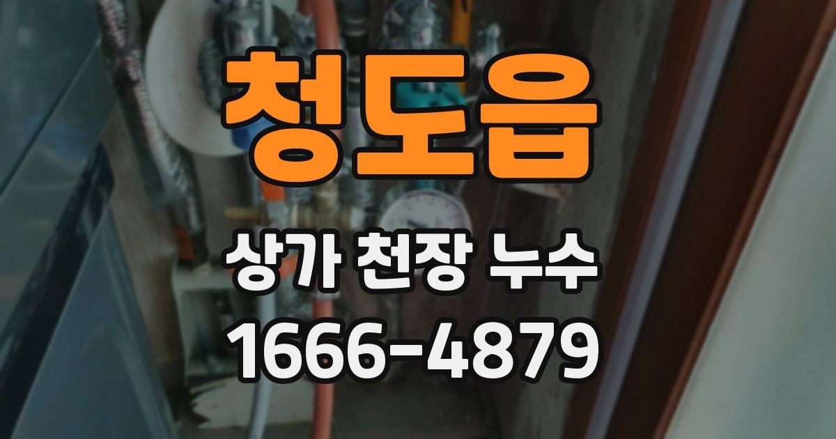 청도읍 상가 천장 누수