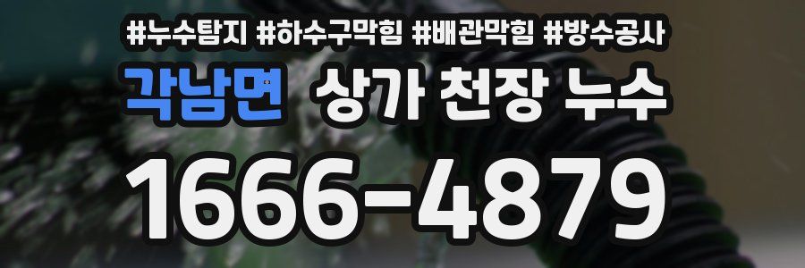 각남면 상가 천장 누수