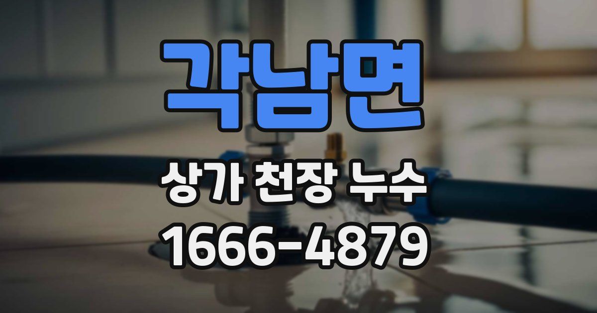 각남면 상가 천장 누수