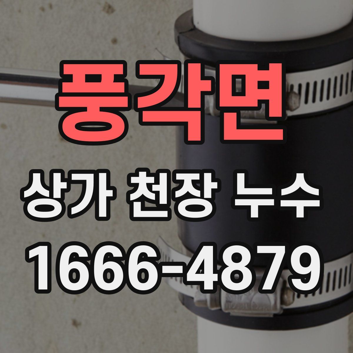 풍각면 상가 천장 누수