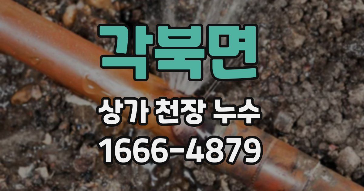 각북면 상가 천장 누수