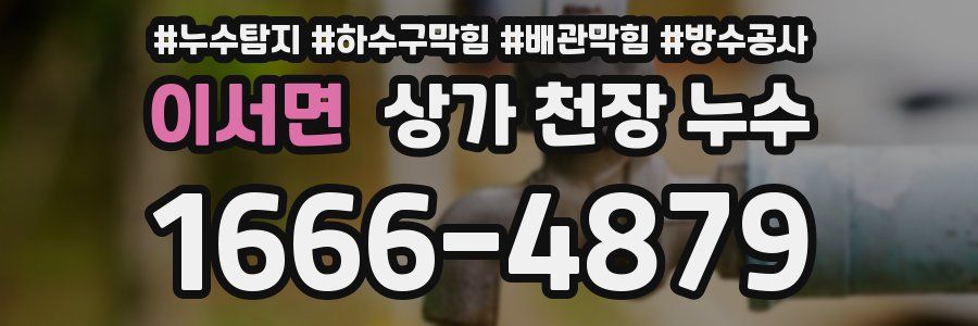 이서면 상가 천장 누수