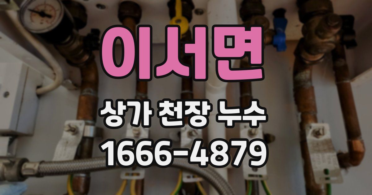 이서면 상가 천장 누수