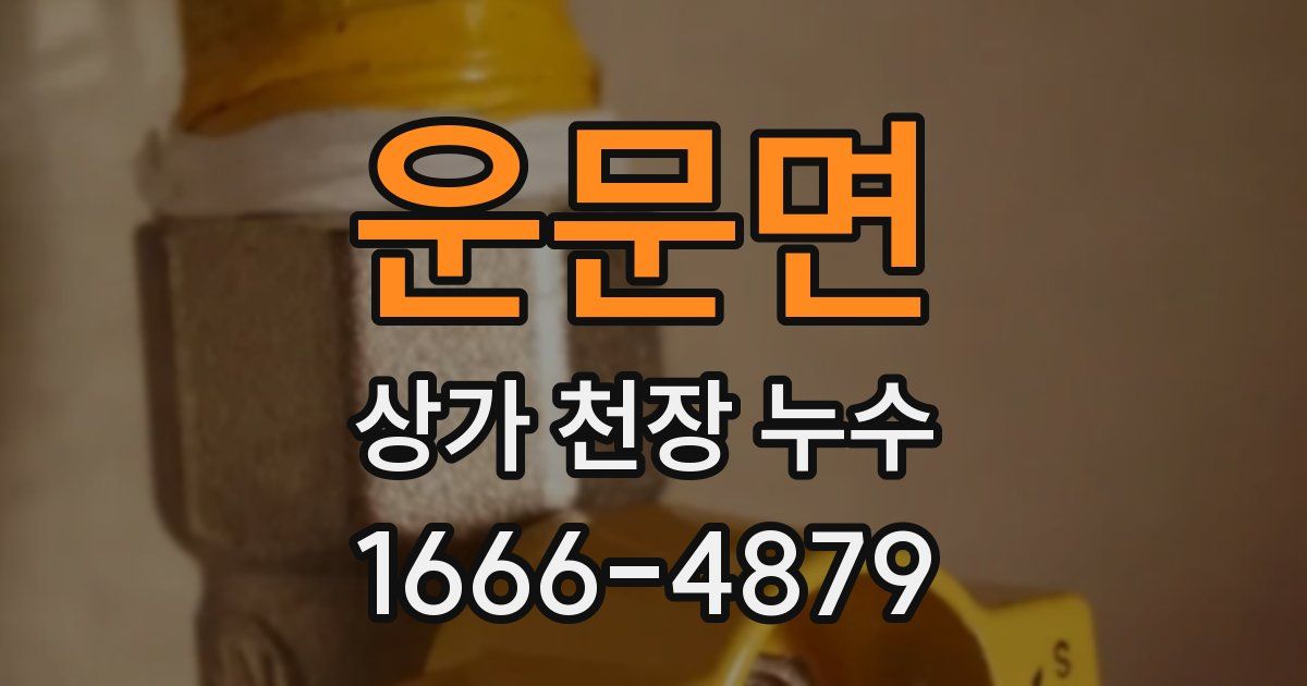 운문면 상가 천장 누수