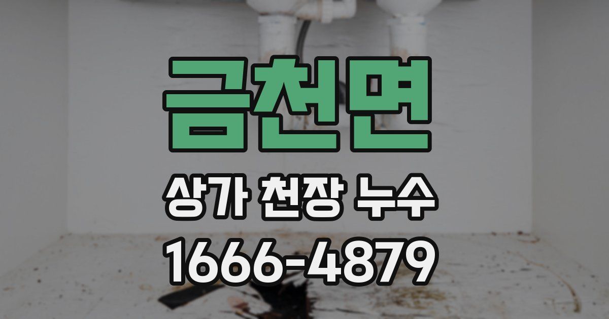 금천면 상가 천장 누수