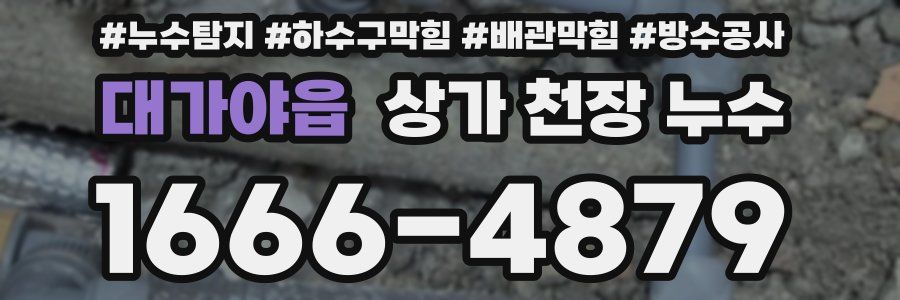 대가야읍 상가 천장 누수