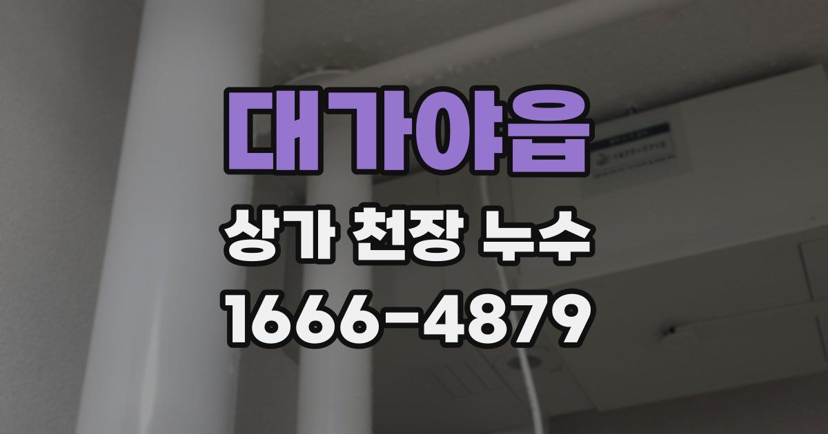 대가야읍 상가 천장 누수