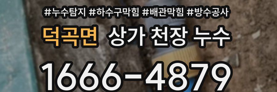덕곡면 상가 천장 누수