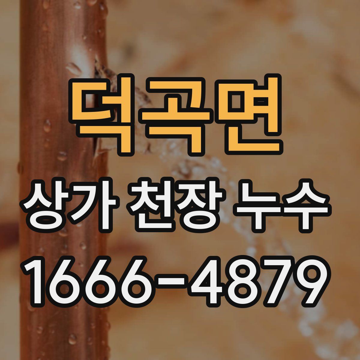 덕곡면 상가 천장 누수