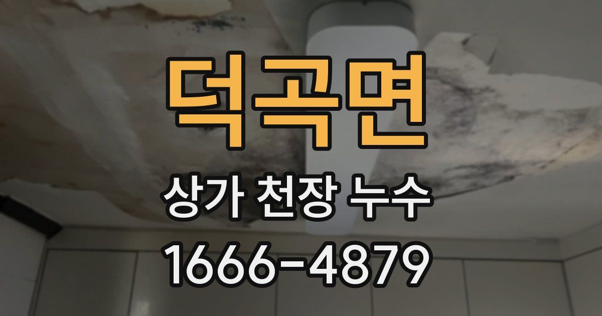 덕곡면 상가 천장 누수