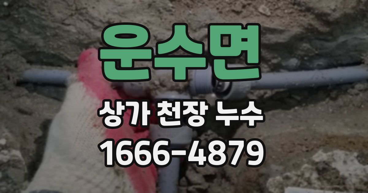 운수면 상가 천장 누수