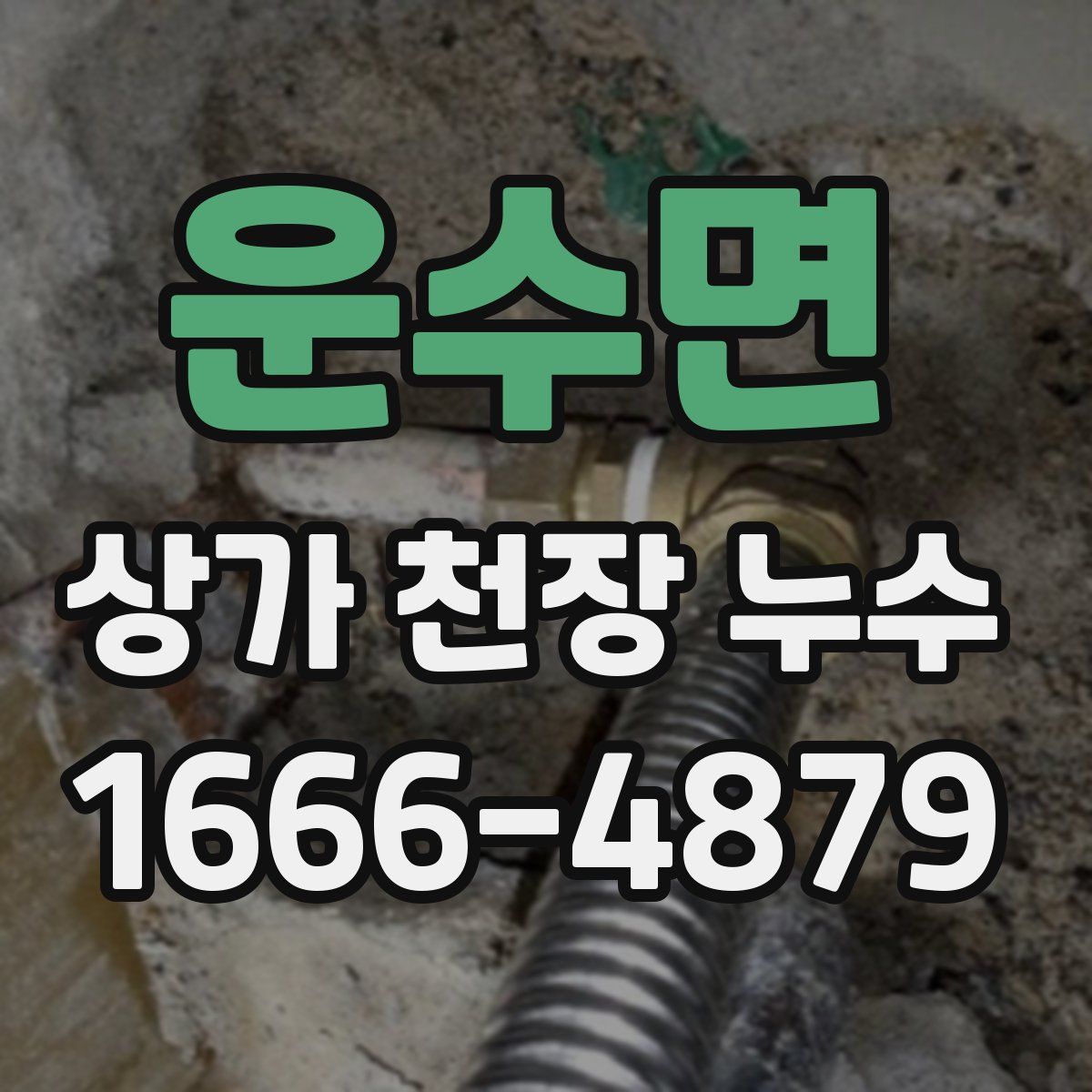 운수면 상가 천장 누수