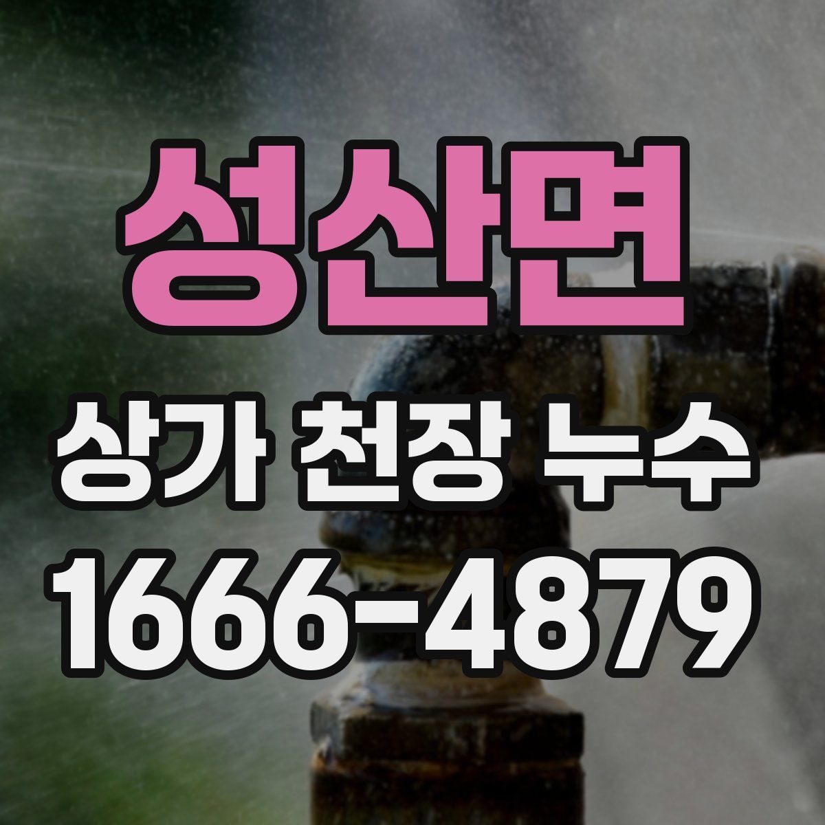 성산면 상가 천장 누수