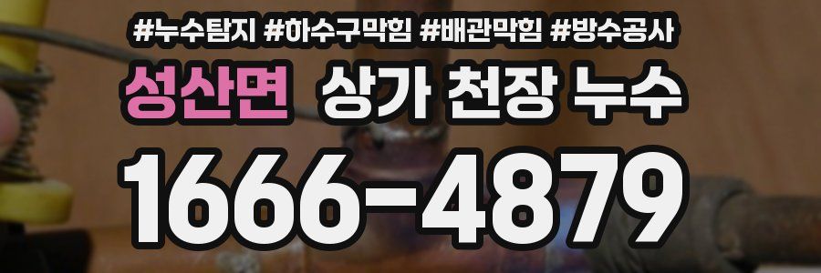 성산면 상가 천장 누수