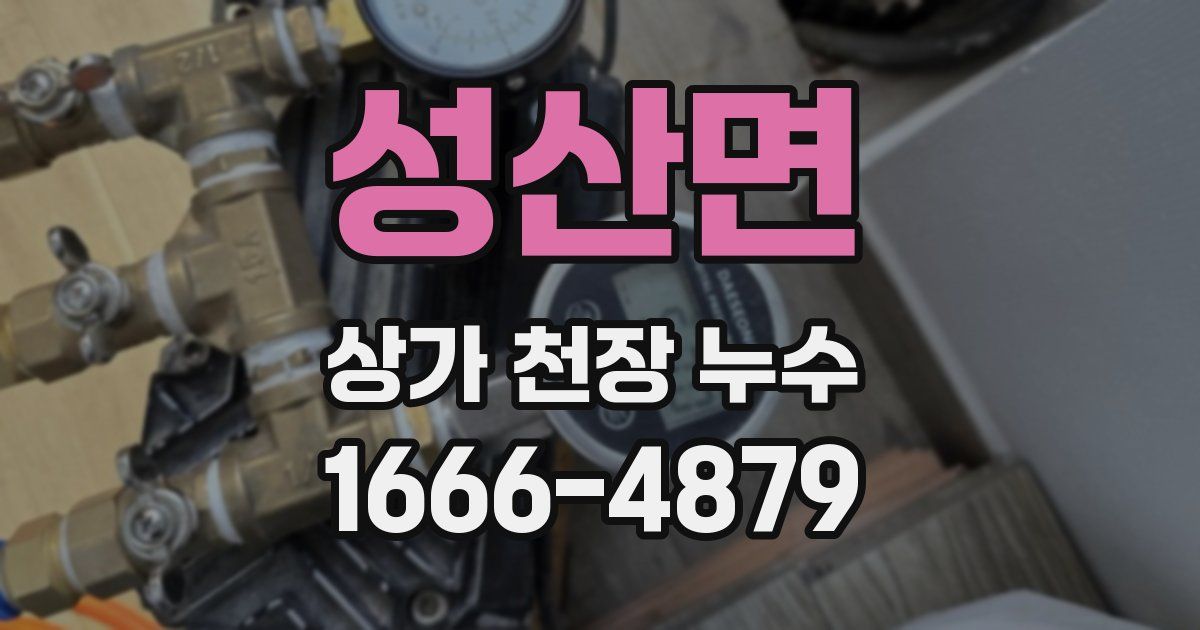 성산면 상가 천장 누수