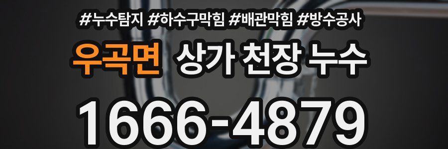 우곡면 상가 천장 누수