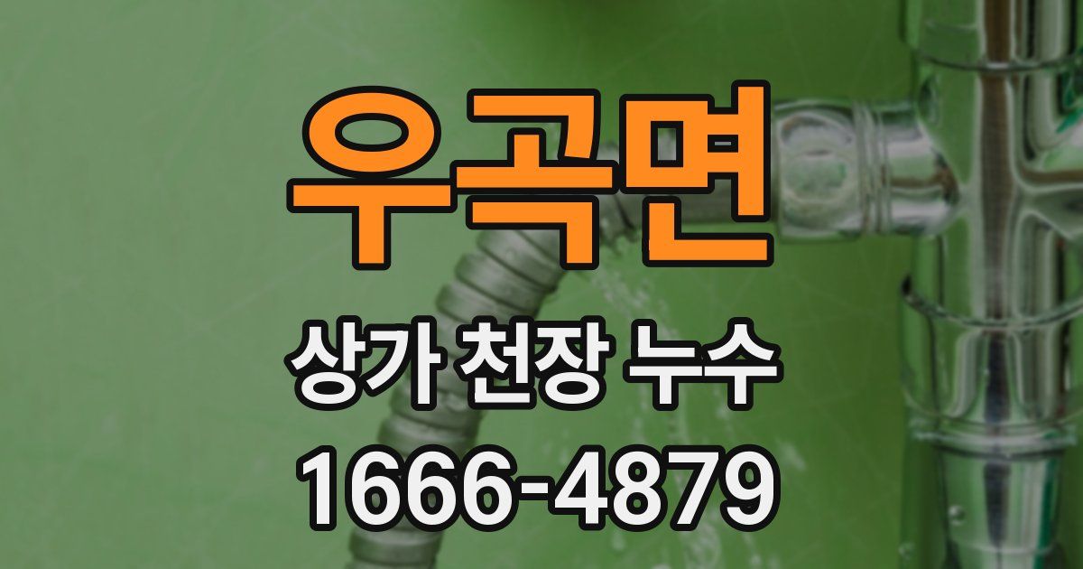 우곡면 상가 천장 누수